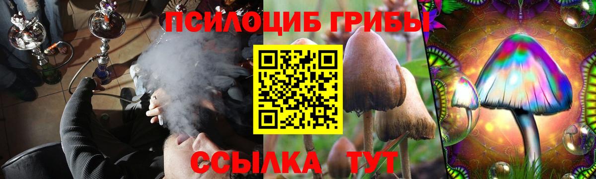 Галлюциногенные грибы прущие грибы Кашира
